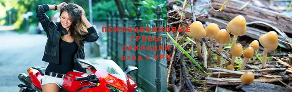 стаф Удомля