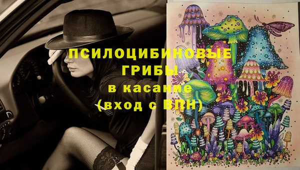 прущая мука Протвино