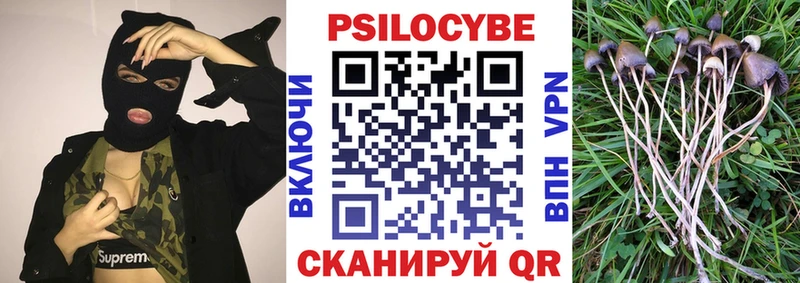 Псилоцибиновые грибы GOLDEN TEACHER darknet телеграм Сим